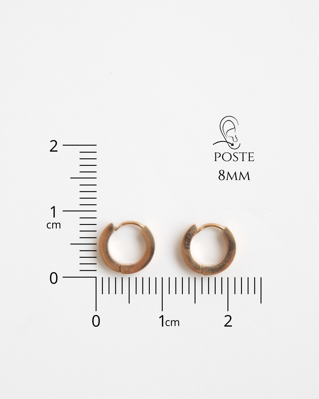 Aretes Florentina