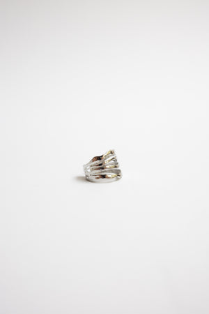 Anillo Ciclo